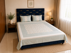 Nuvelle Cotton Silk Dewdrop Bedsheet Set